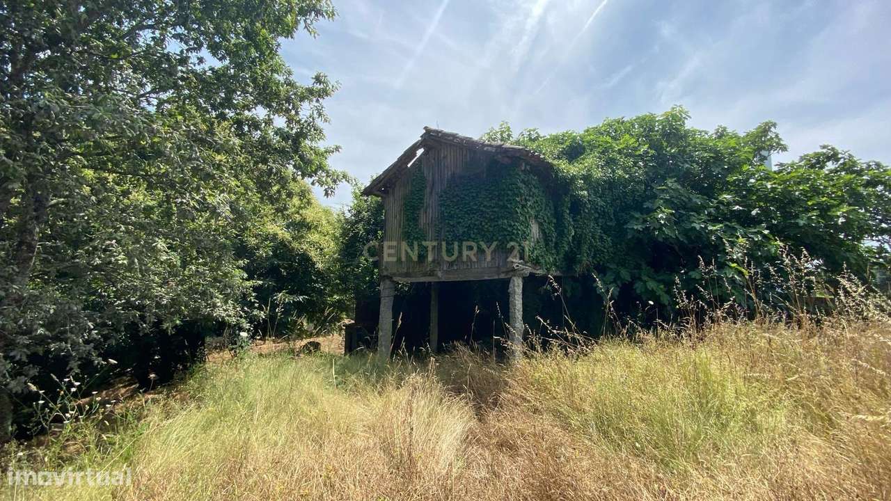 Terreno com Ruína em Granito | Potencial Único na Natureza do Alto Mi - Grande imagem: 4/7