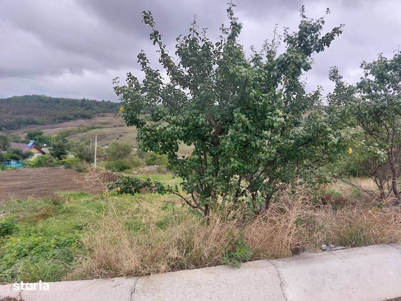 Teren intravilan- Popricani-1