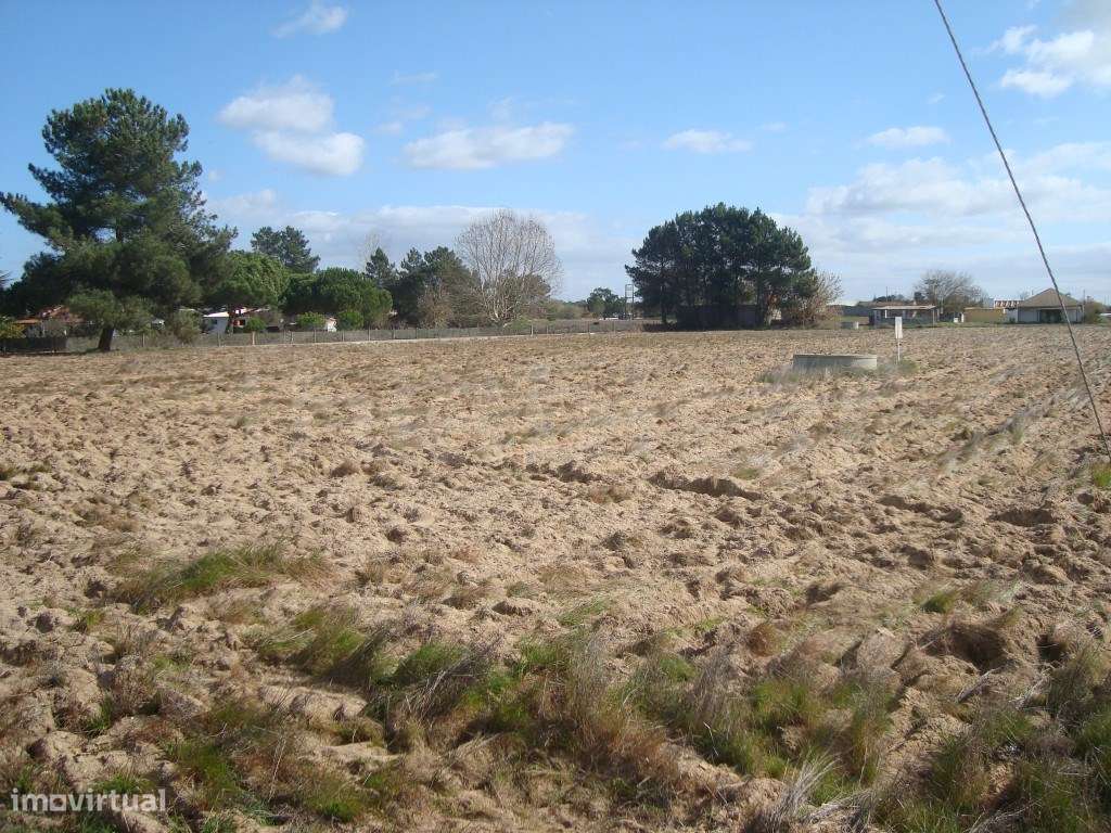 Terreno Venda Industrial - Grande imagem: 2/4