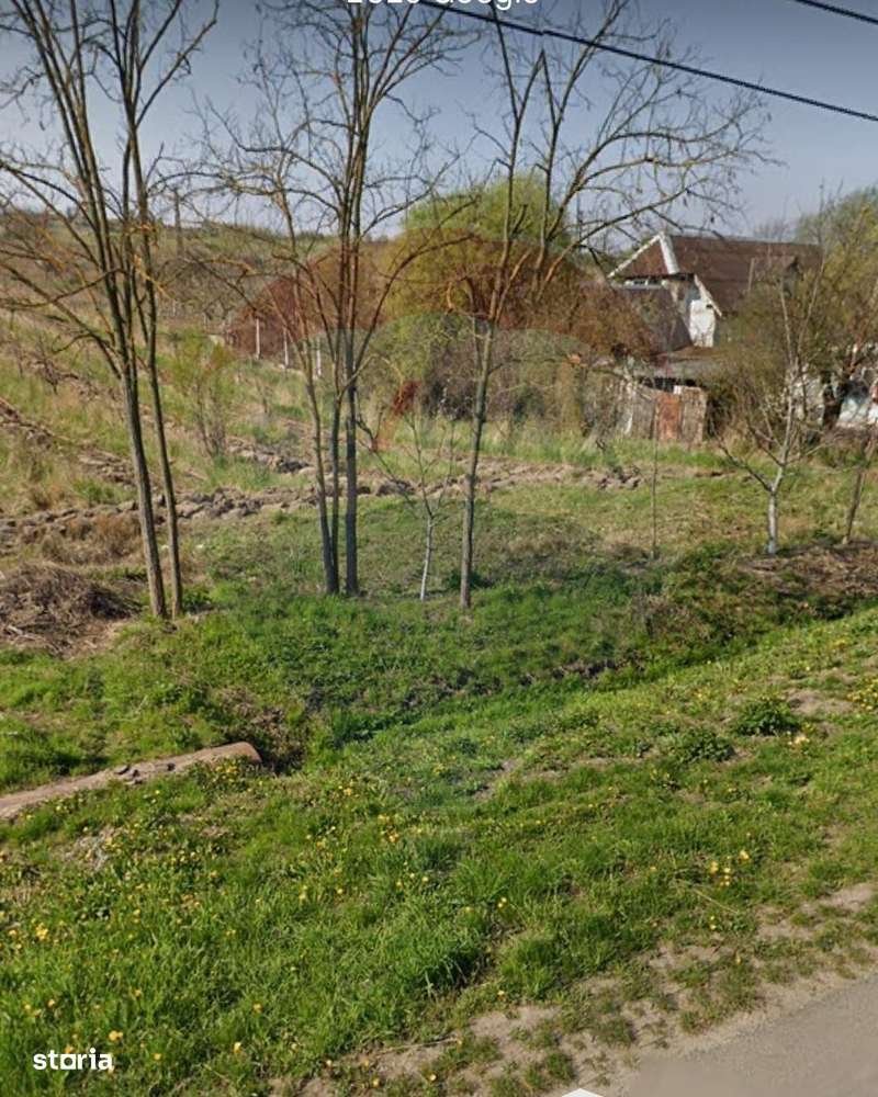 Teren 2.341 mp Uileacu de Munte front 25 ml la drum asfaltat - Imagine principală: 1/16