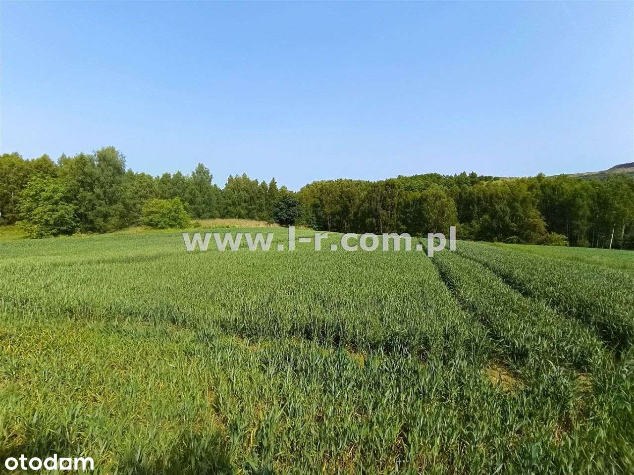 Atrakcyjna Działka W Sąsiedztwie Lasu-7