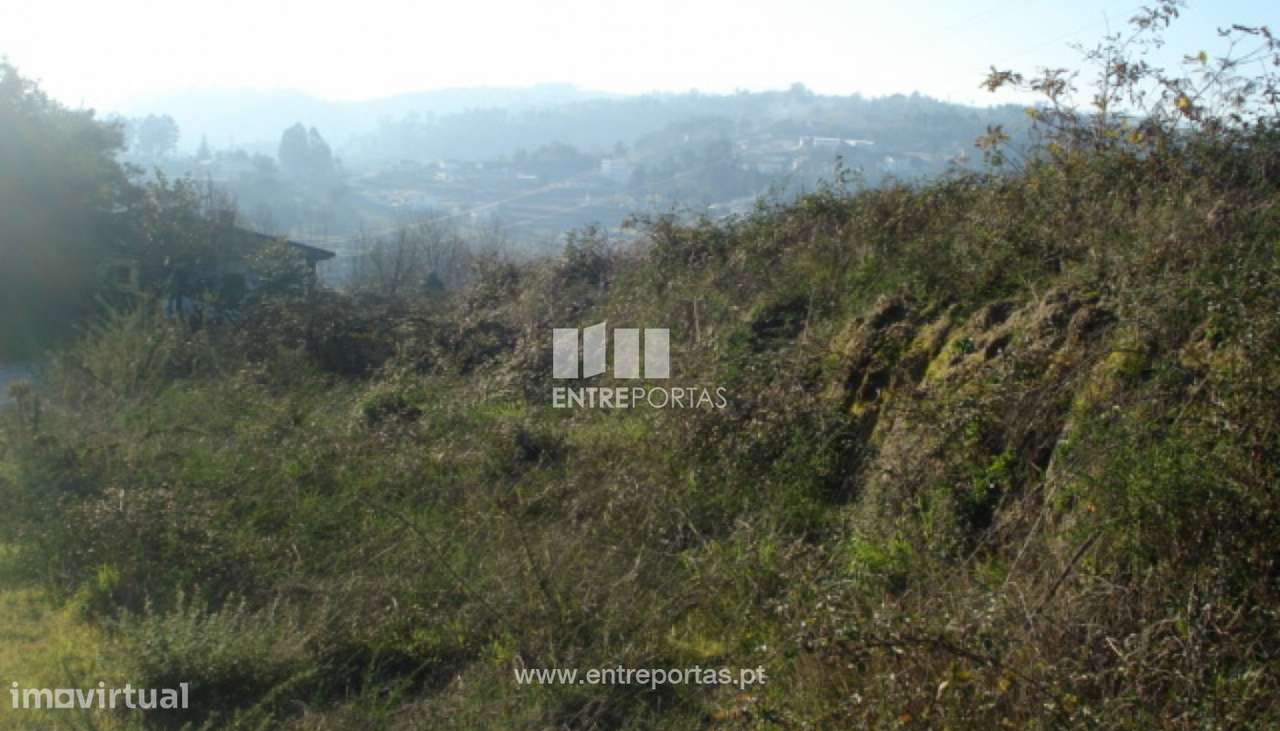 Venda Terreno, Sobretâmega, Marco de Canaveses - Grande imagem: 5/8