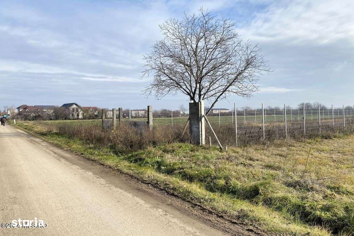 Afumati - Str. Iasomiei, 2409 MP, stradal, intravilan, deschidere 12 m - Imagine principală: 1/19