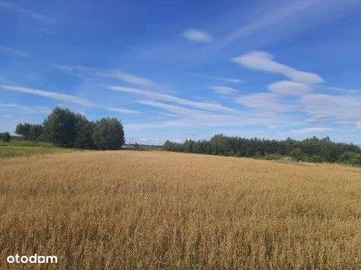 57 arów, warunki zabudowy, także dla nie-rolnika - Pełny obrazek: 5/8