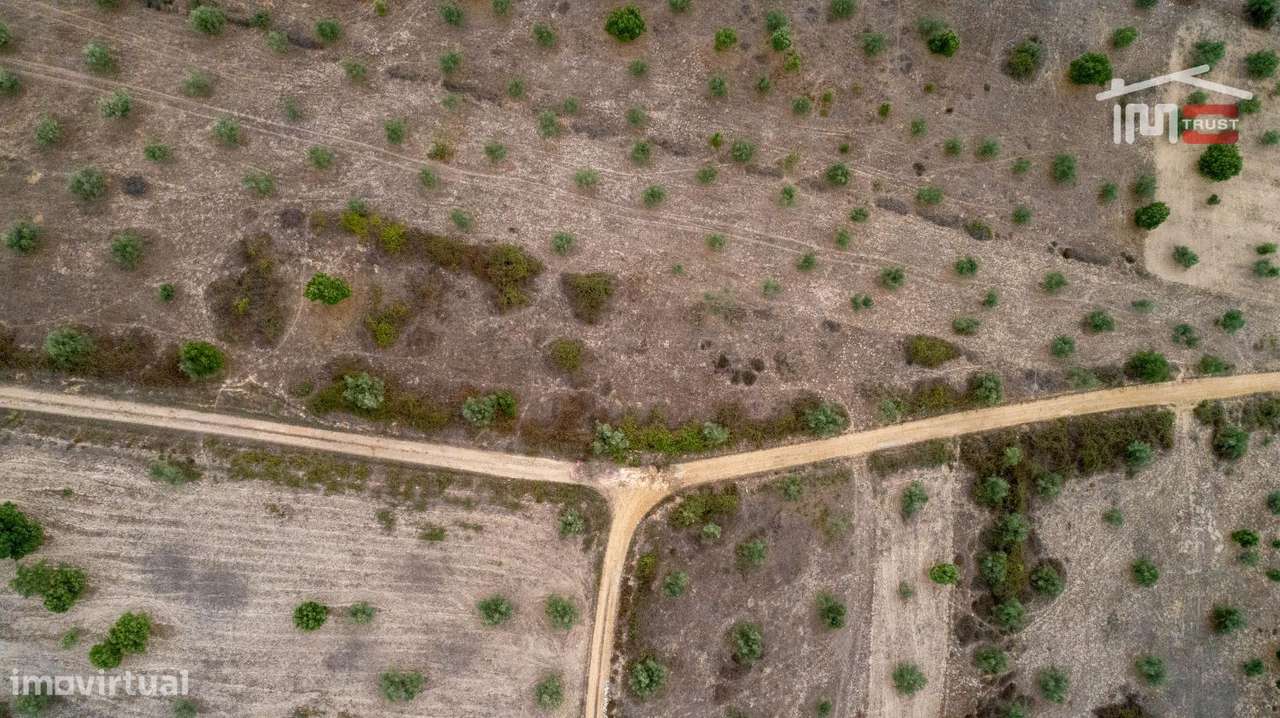 Terreno rústico, para venda, Abrantes - Pego - Grande imagem: 2/2