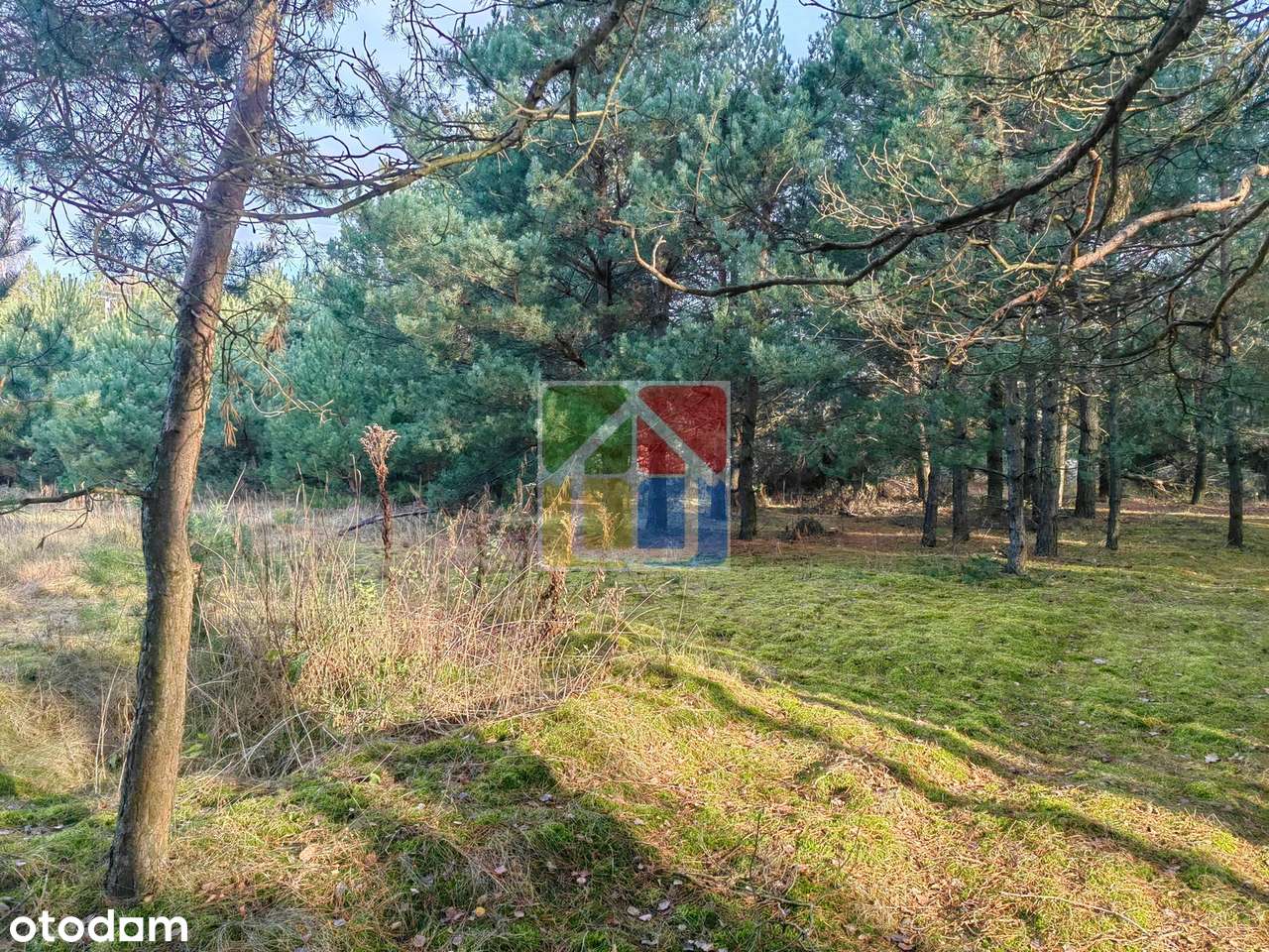 Blisko lasu i rzeczki – atrakcyjna działka pod zabudowę jednorodzinną!-5