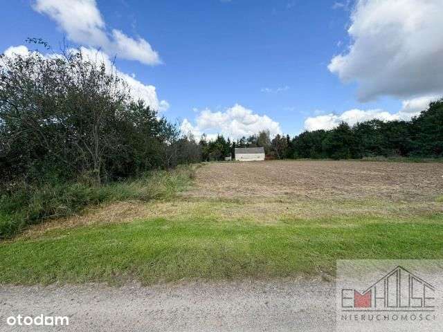 Kotowice-Działka-Las-blisko Wrocław/ Szewce-7