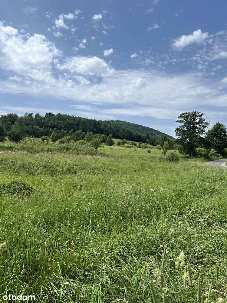 Działka budowlana 1040 m² w spokojnej okolicy - Pełny obrazek: 4/4