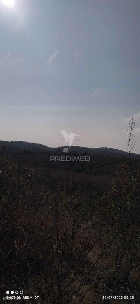 Terreno Rústico "Cerro da Gruta" em Odemira. - Grande imagem: 4/17