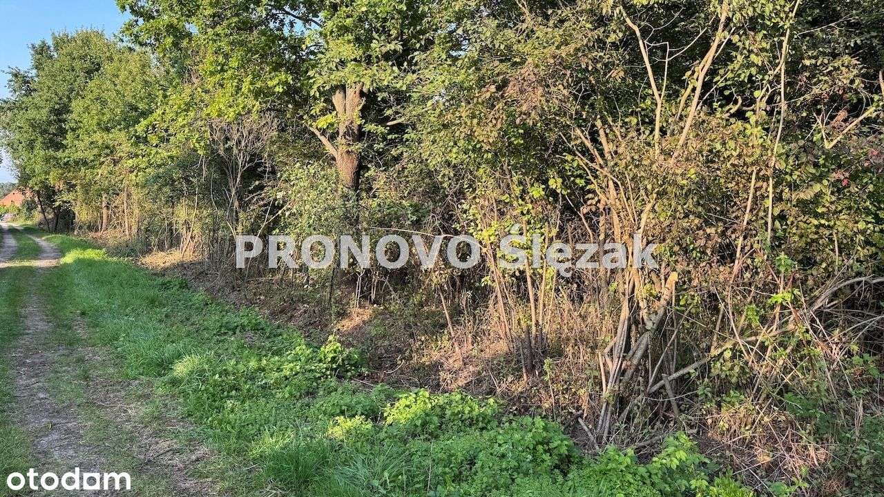 Sprzedam działkę budowlaną Morzęcin Mały-5