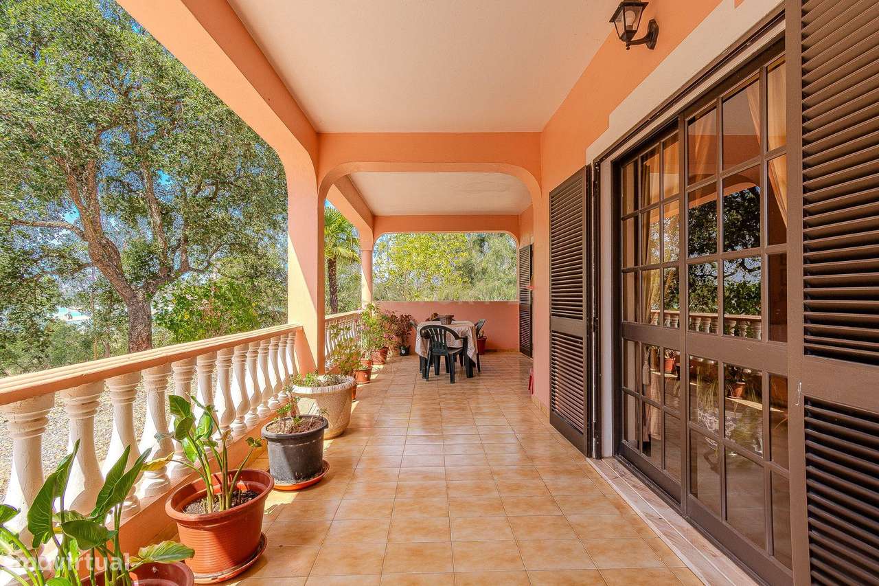 QUINTA DE 2.5 Ha COM MORADIA TÈRREA T3 E BARRAGEM PRIVADA - Grande imagem: 4/50