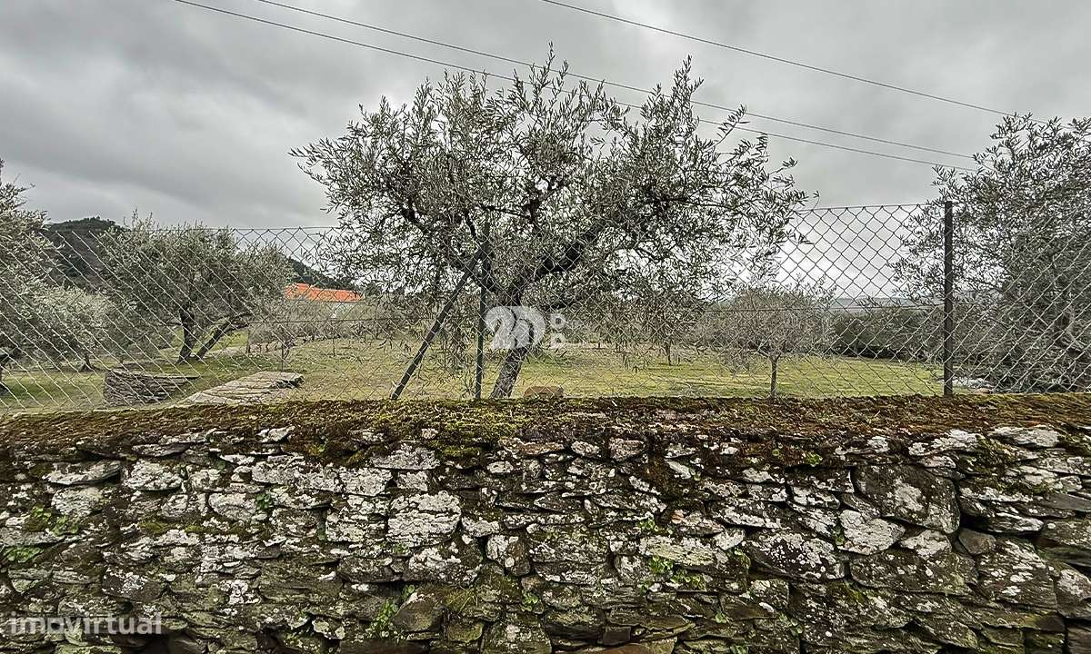 Terreno 5860m² - Pinheiros-21