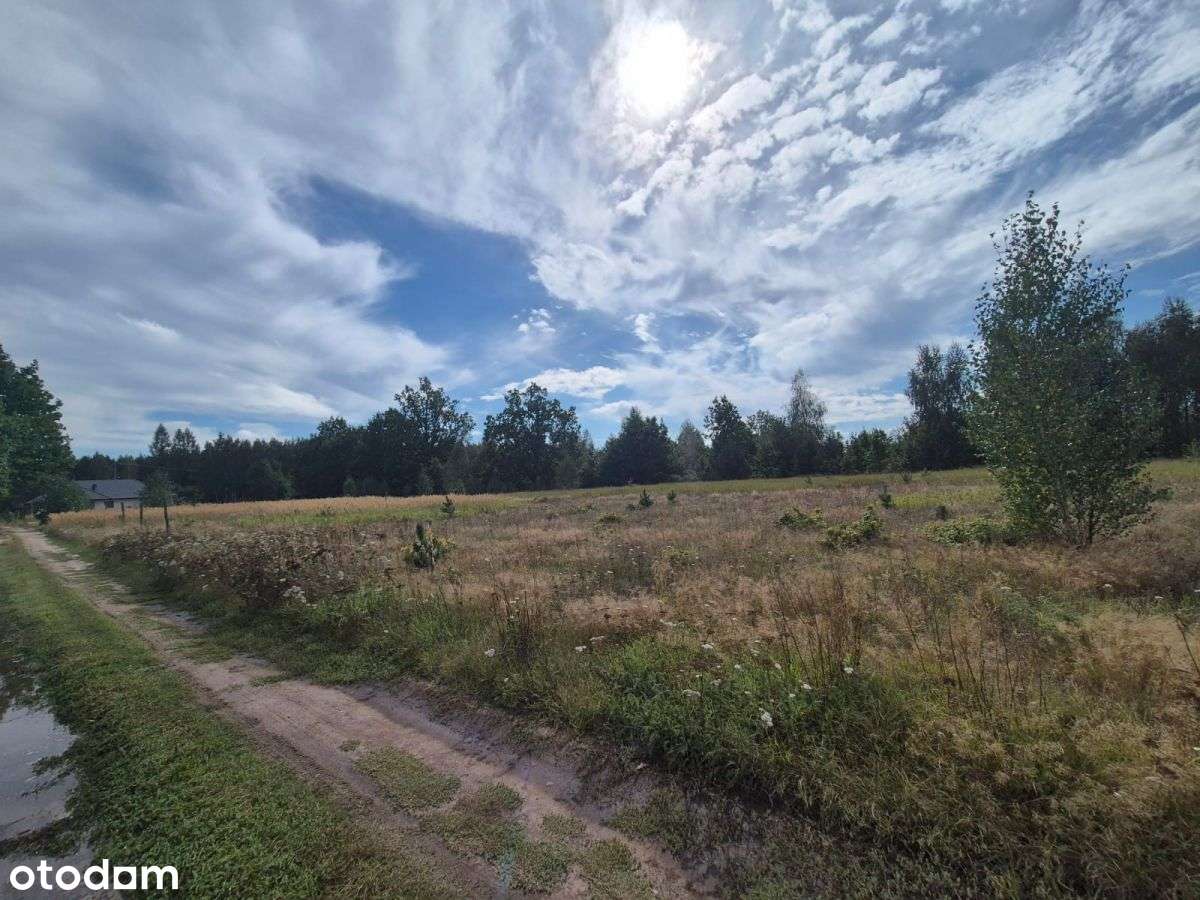 Działka przy Kampinowskim Parku Narodowym - Pełny obrazek: 4/9