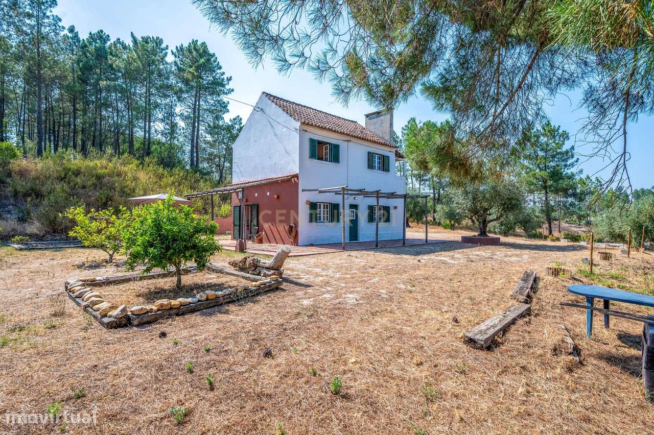 Moradia em Farinha Branca, Montargil-21