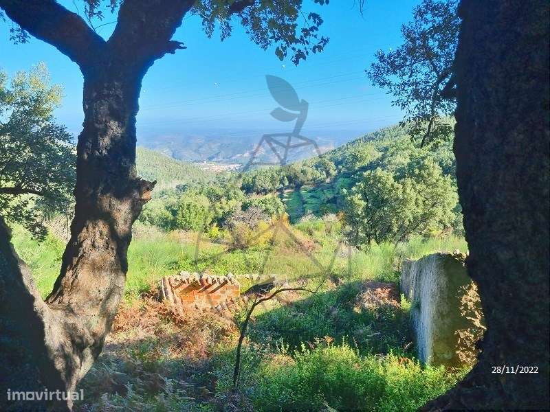 Terreno rústico com ruina em Alferce - Grande imagem: 2/21