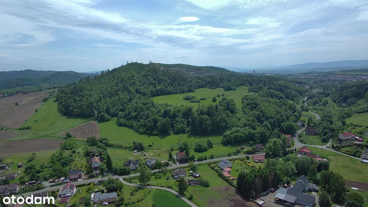 działka budowlana - Góry Sowie - Dzikowiec - Pełny obrazek: 5/7