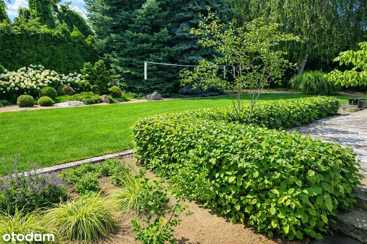 Dom dla dużej rodziny, ogród, dobra komunikacja-1