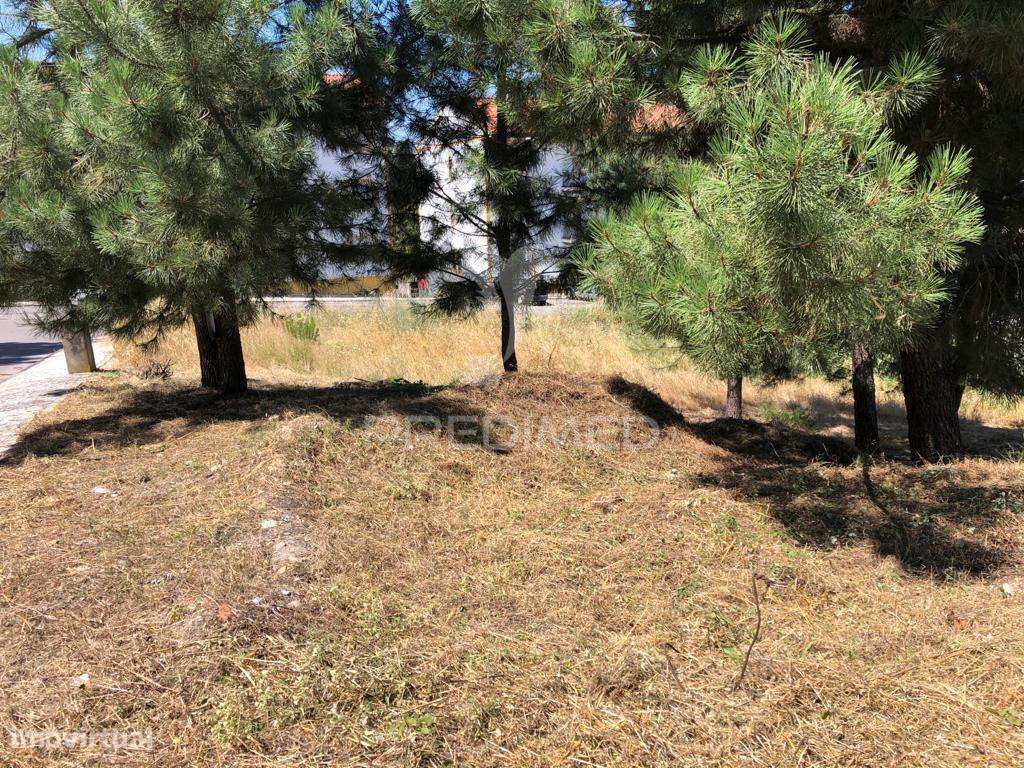 Terreno Urbano - Grande imagem: 2/3