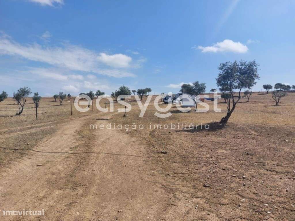 Terreno Rústico com 34.750m2 localizado na freguesia de Alcaria Ruiva - Grande imagem: 2/20