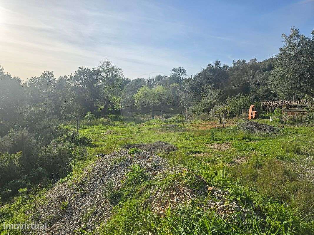 Terreno  para venda - Grande imagem: 5/9