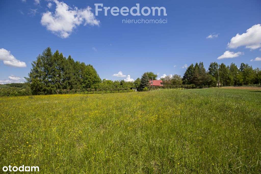 Działka 29,36 ar z Wz, media, Chmielnik-5