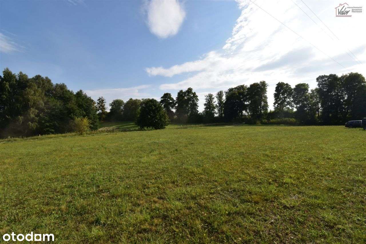 Działka, 3 006 m², Tuławki - Pełny obrazek: 3/11