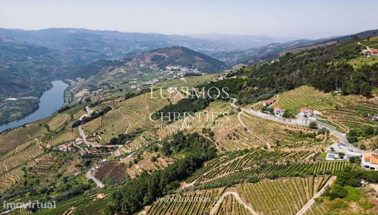 Quinta vinícola para venda em Mesão Frio no Douro Valley - Grande imagem: 4/25