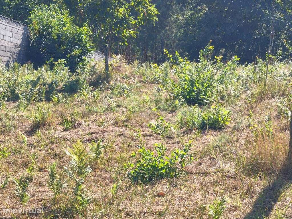 Prédio rústico em zona de construção-11