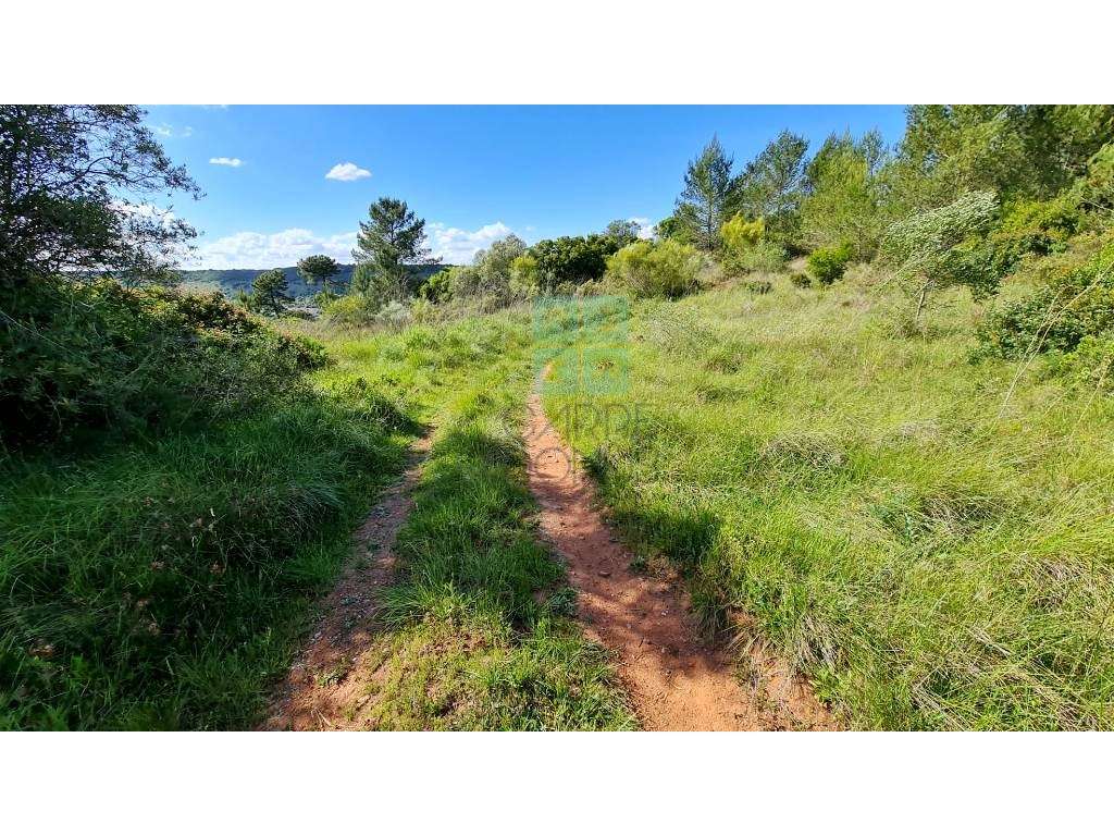 Quinta com 435.487 m2 na Serra da Arrábida, em Palmela, Setúbal-25