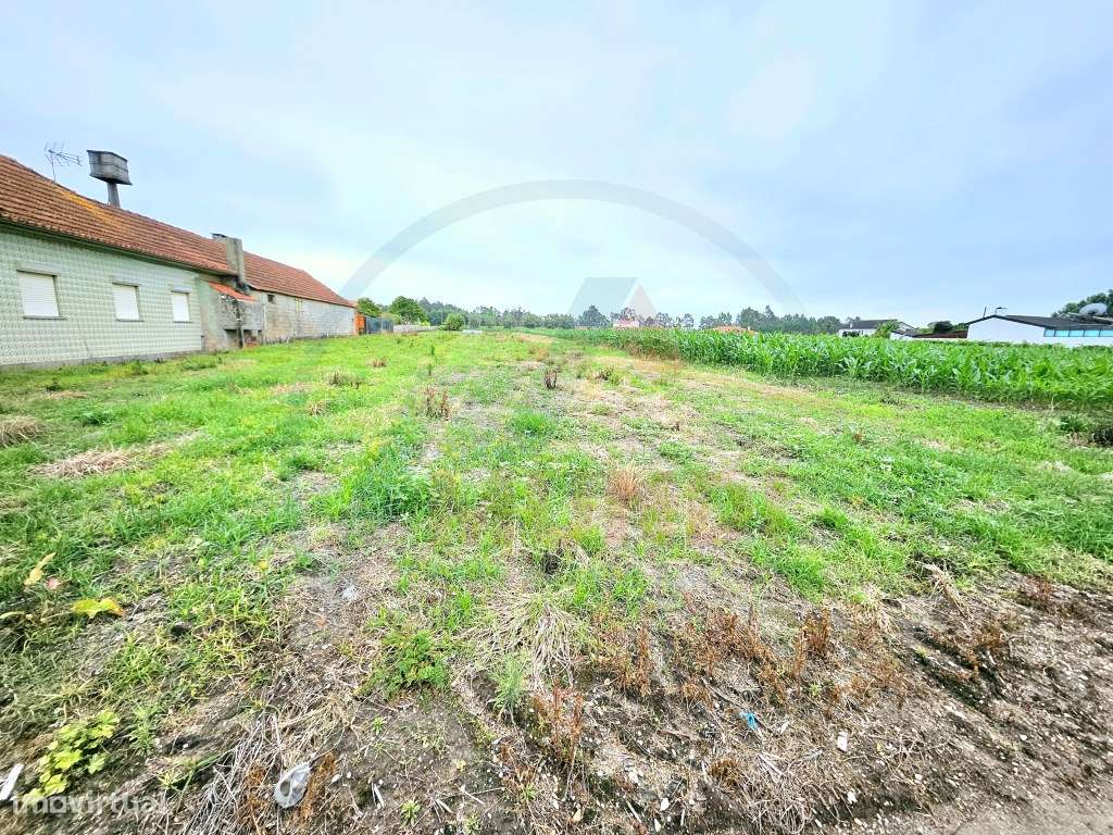 Terreno urbanizável com cerca de 20 metros de frente e poço - Grande imagem: 5/5