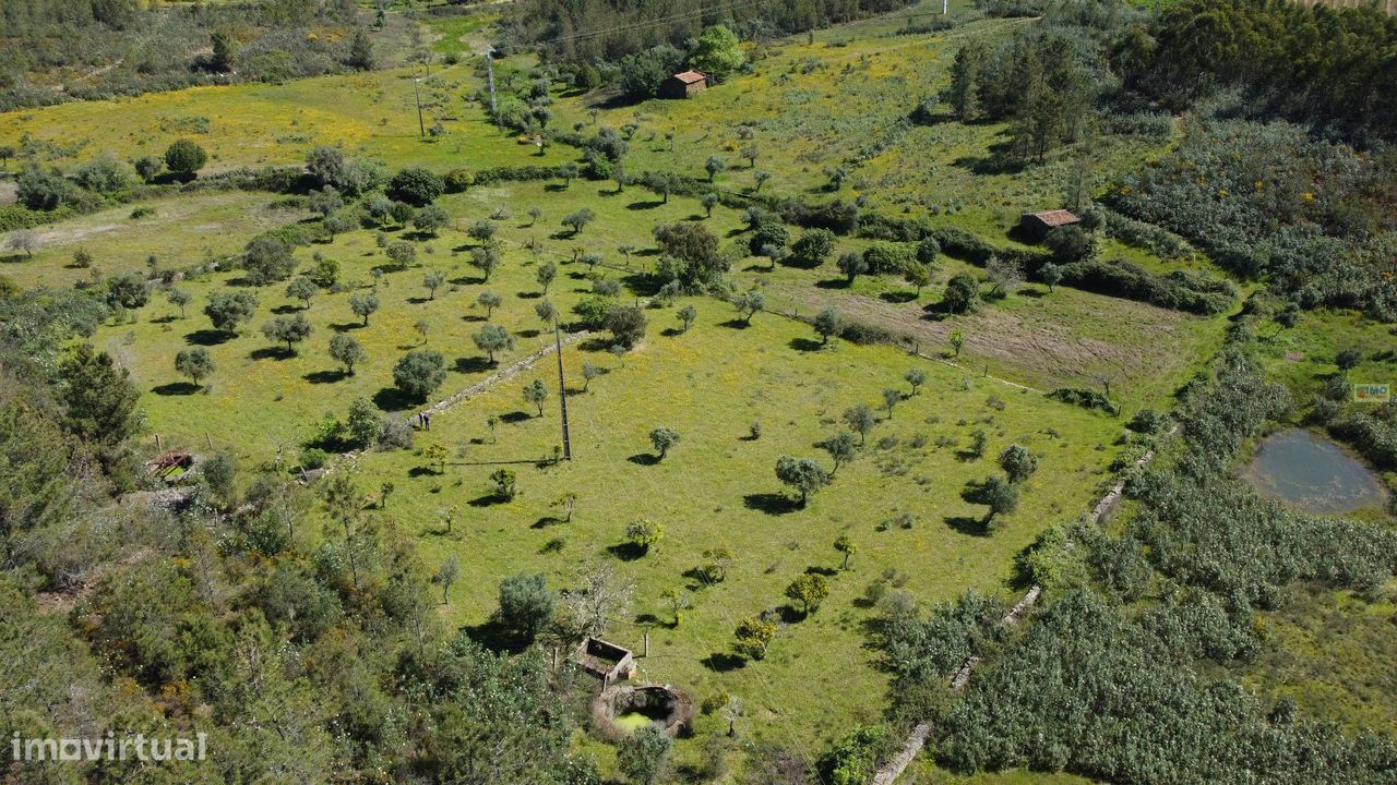 Quinta em Amarelos - 15 min. Castelo Branco