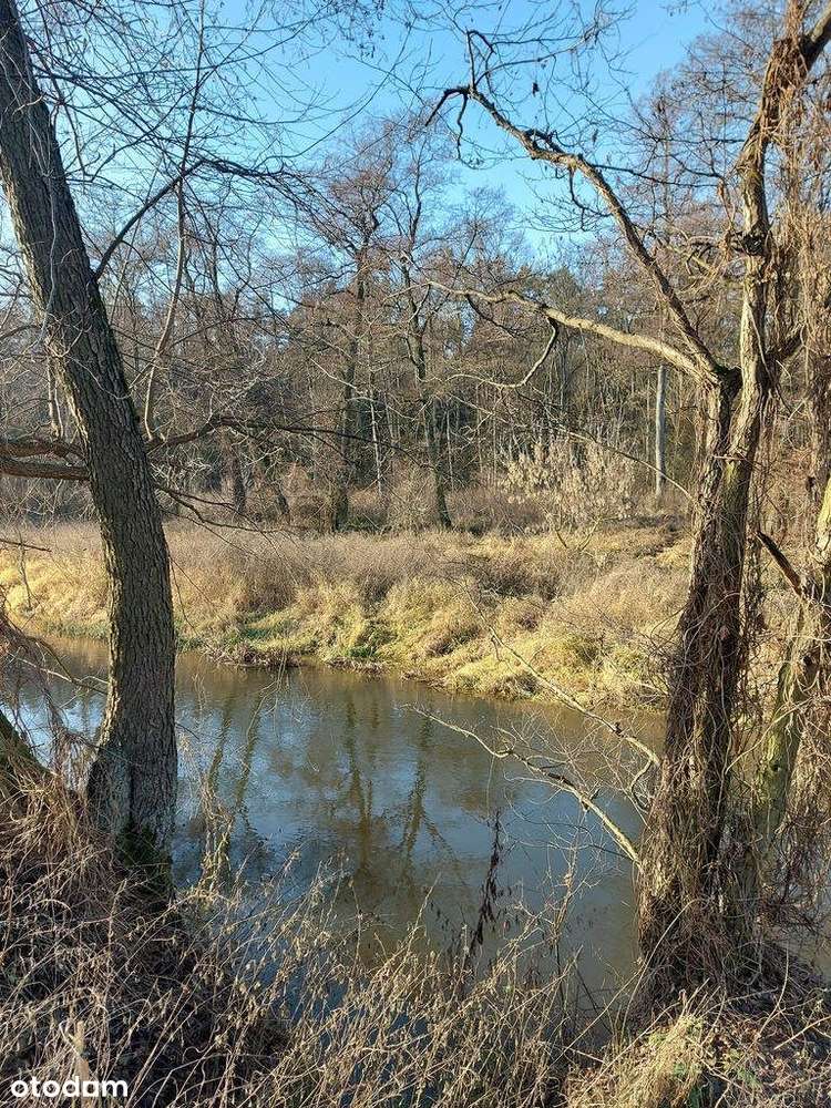 Dom, 86 m², Cieślin-13