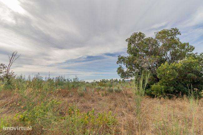 Terreno rústico - Grande imagem: 5/10