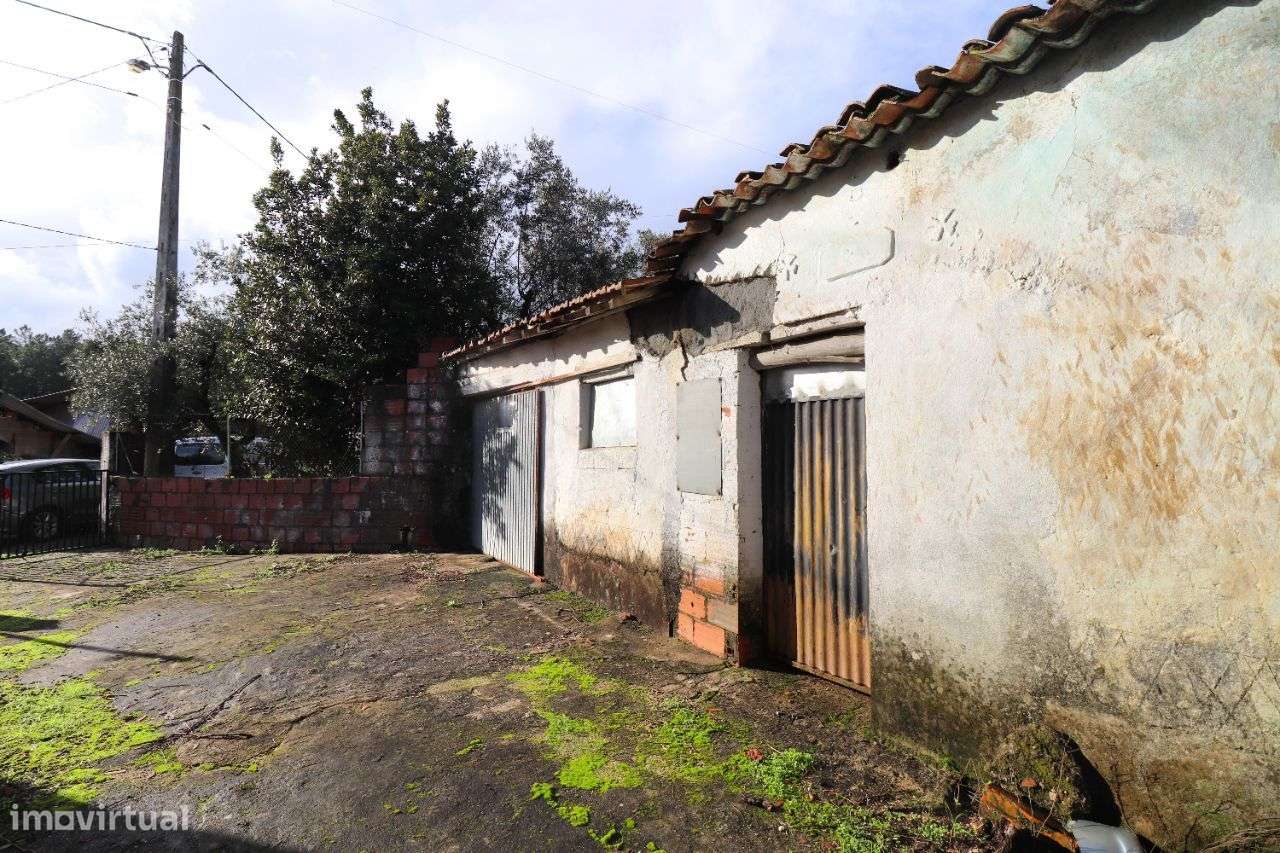 Terreno com ruina - Grande imagem: 2/14