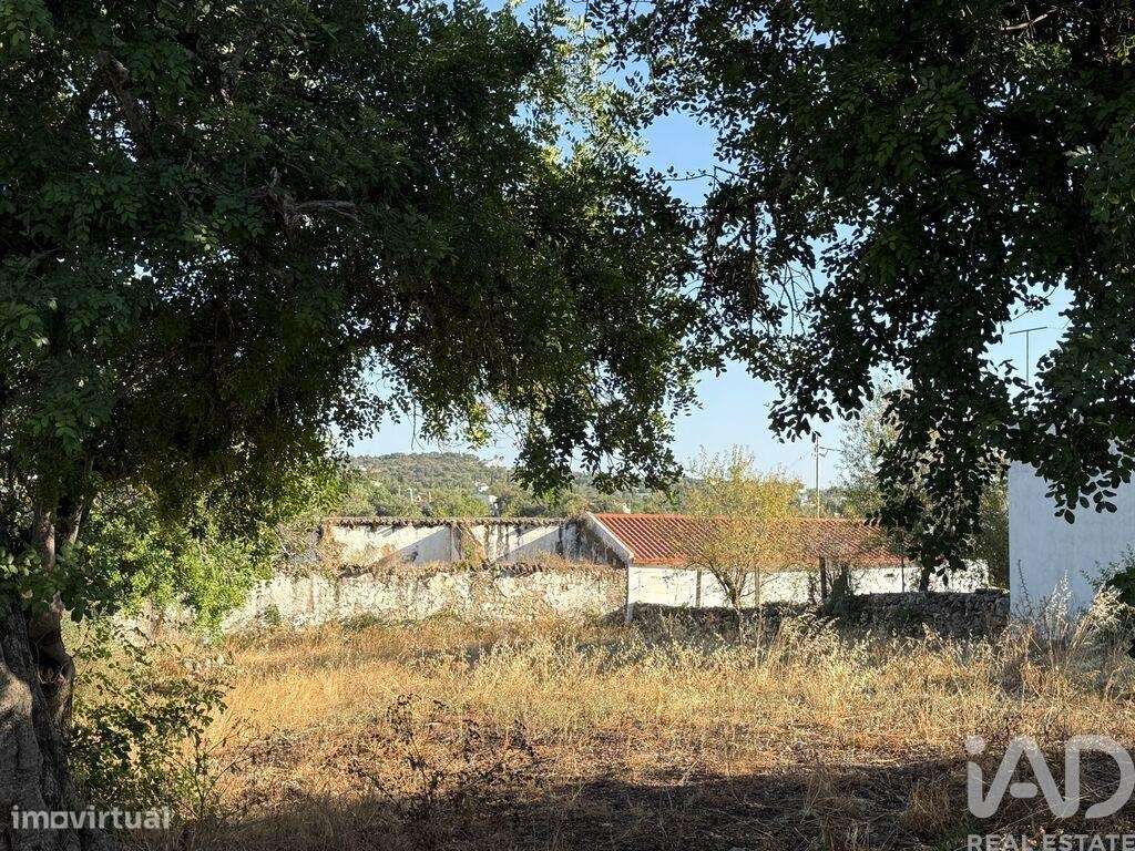 Terreno para construção em Santa Bárbara de Nexe de 3280,00 m2 - Grande imagem: 3/24
