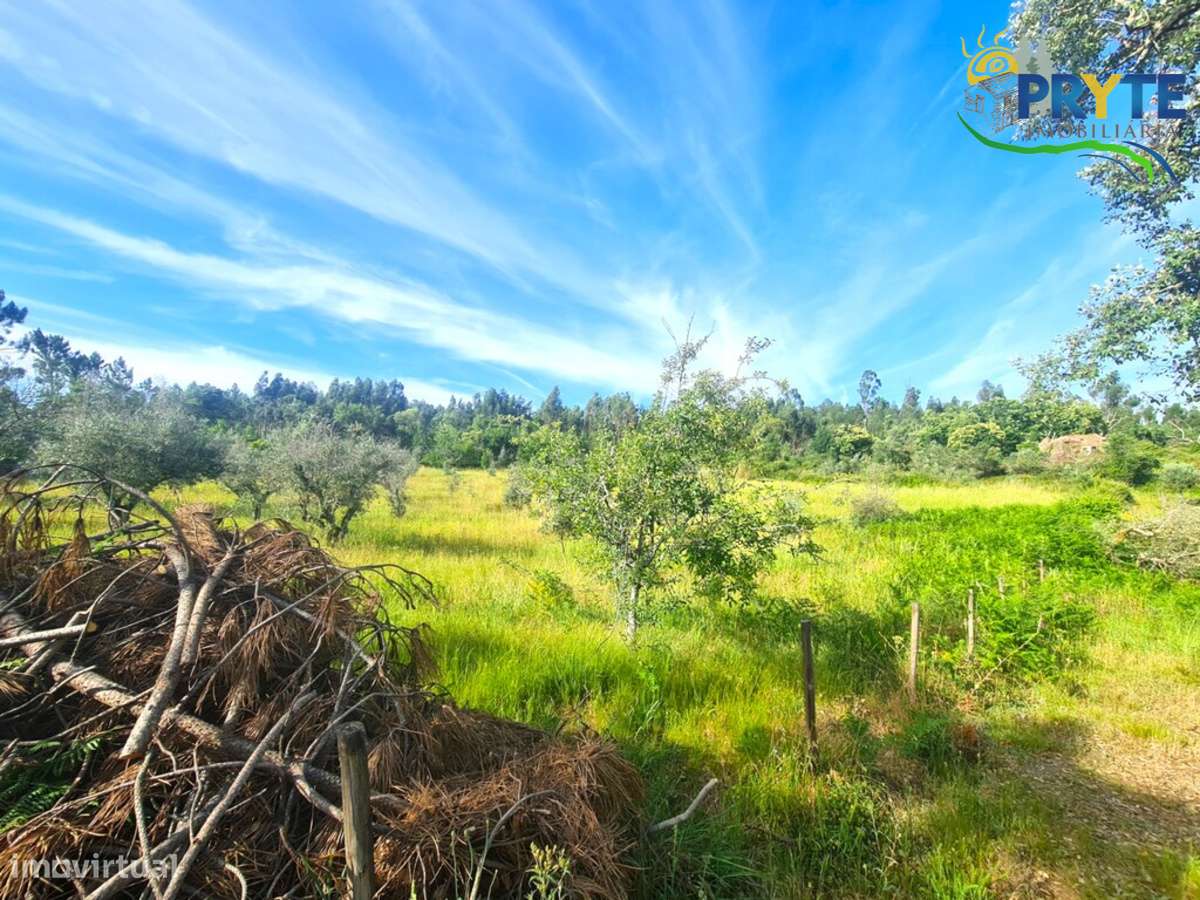 Quintinha agrícola situada Casalinho/Tapada-9