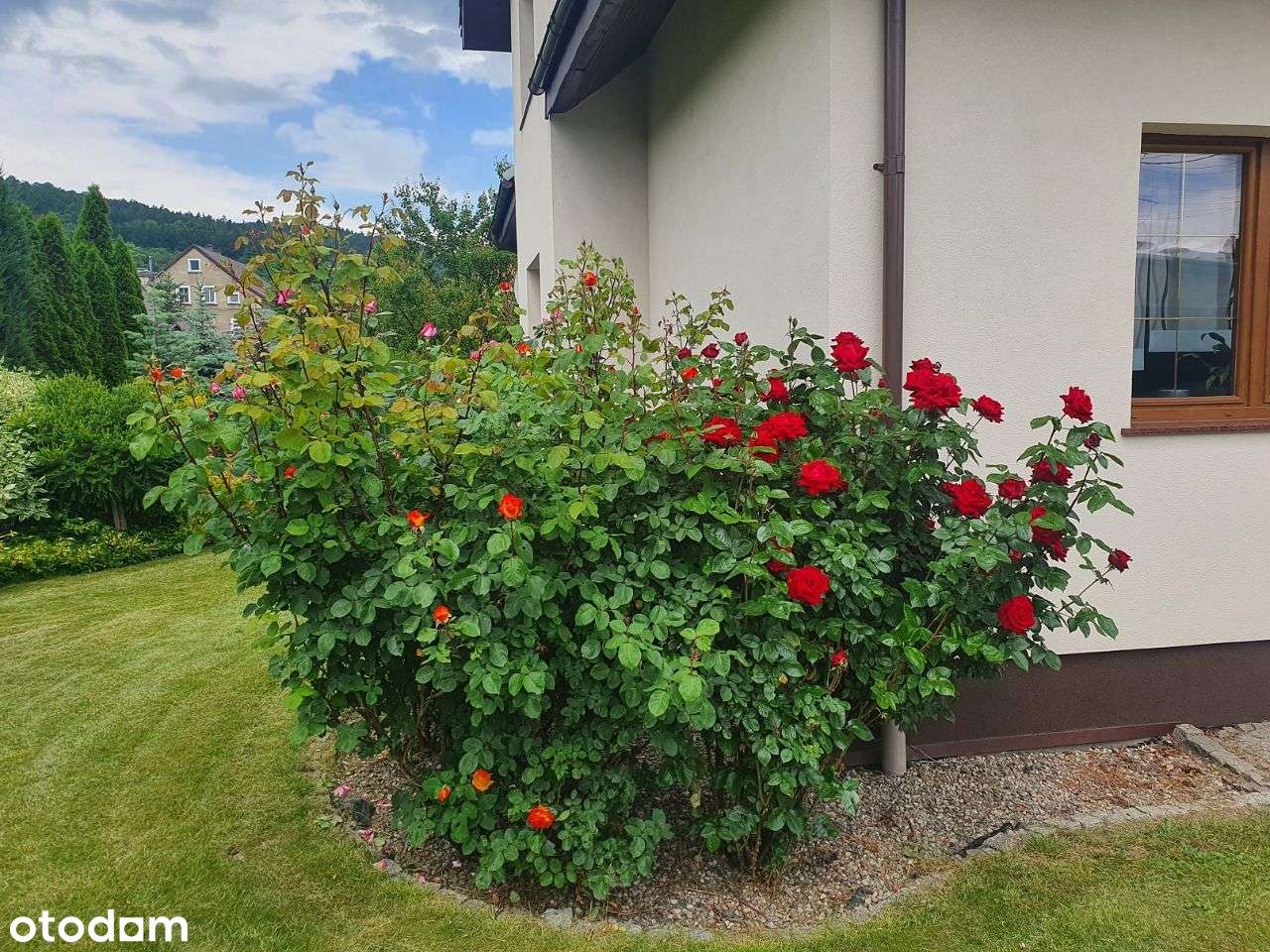 Dom jednorodzinny, 2023 rok, działka 15 arów. - Pełny obrazek: 5/20