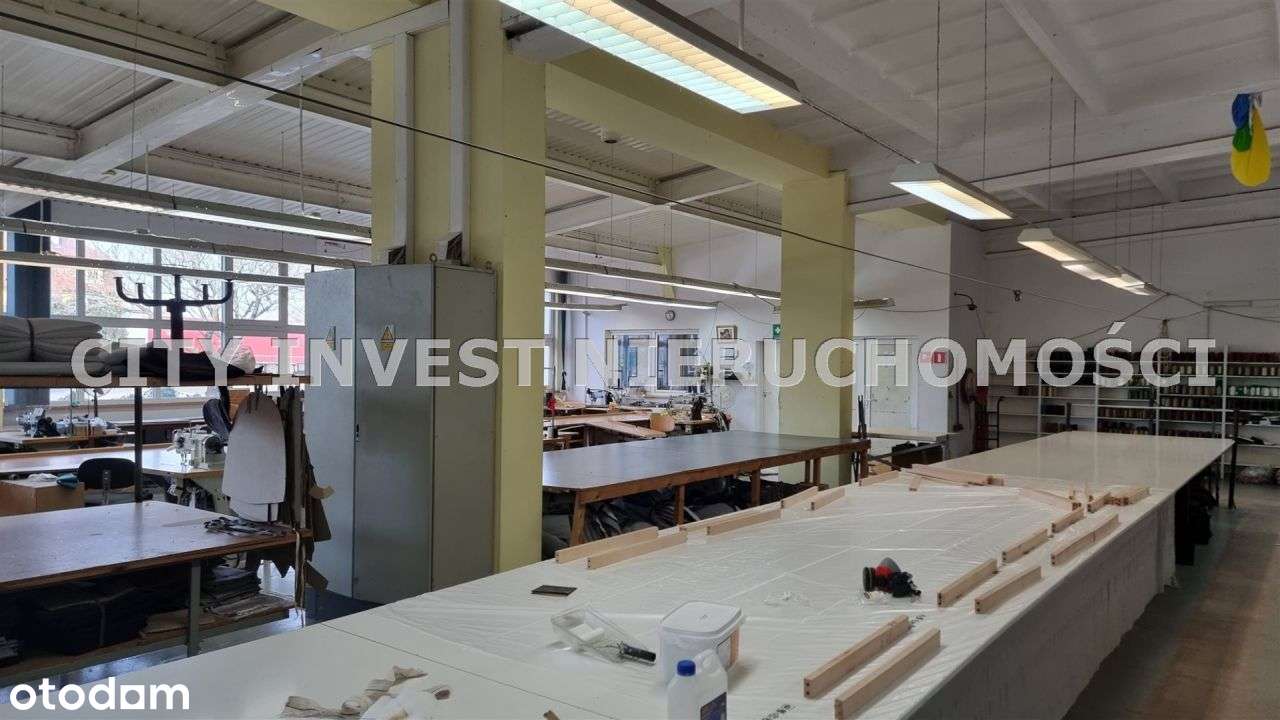 Hala/Magazyn, 4 750 m², Cybinka-11