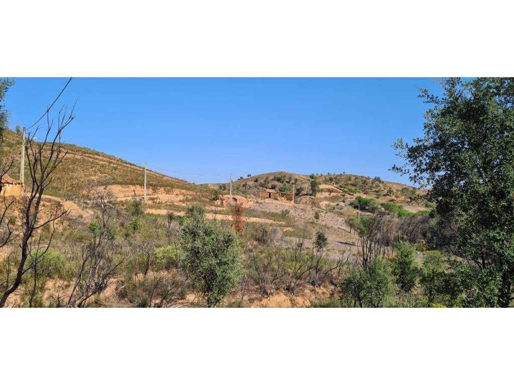 Monte Alentejano para reconstruir - Grande imagem: 4/20