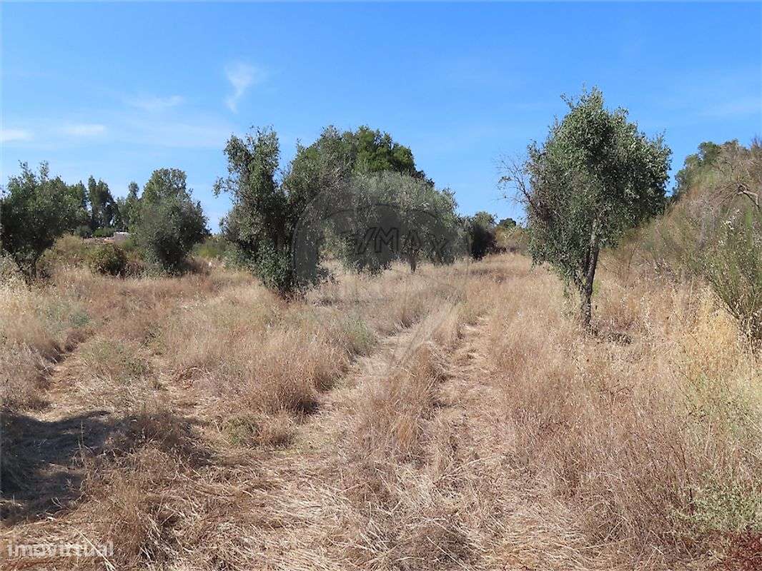 Quinta  para venda-35