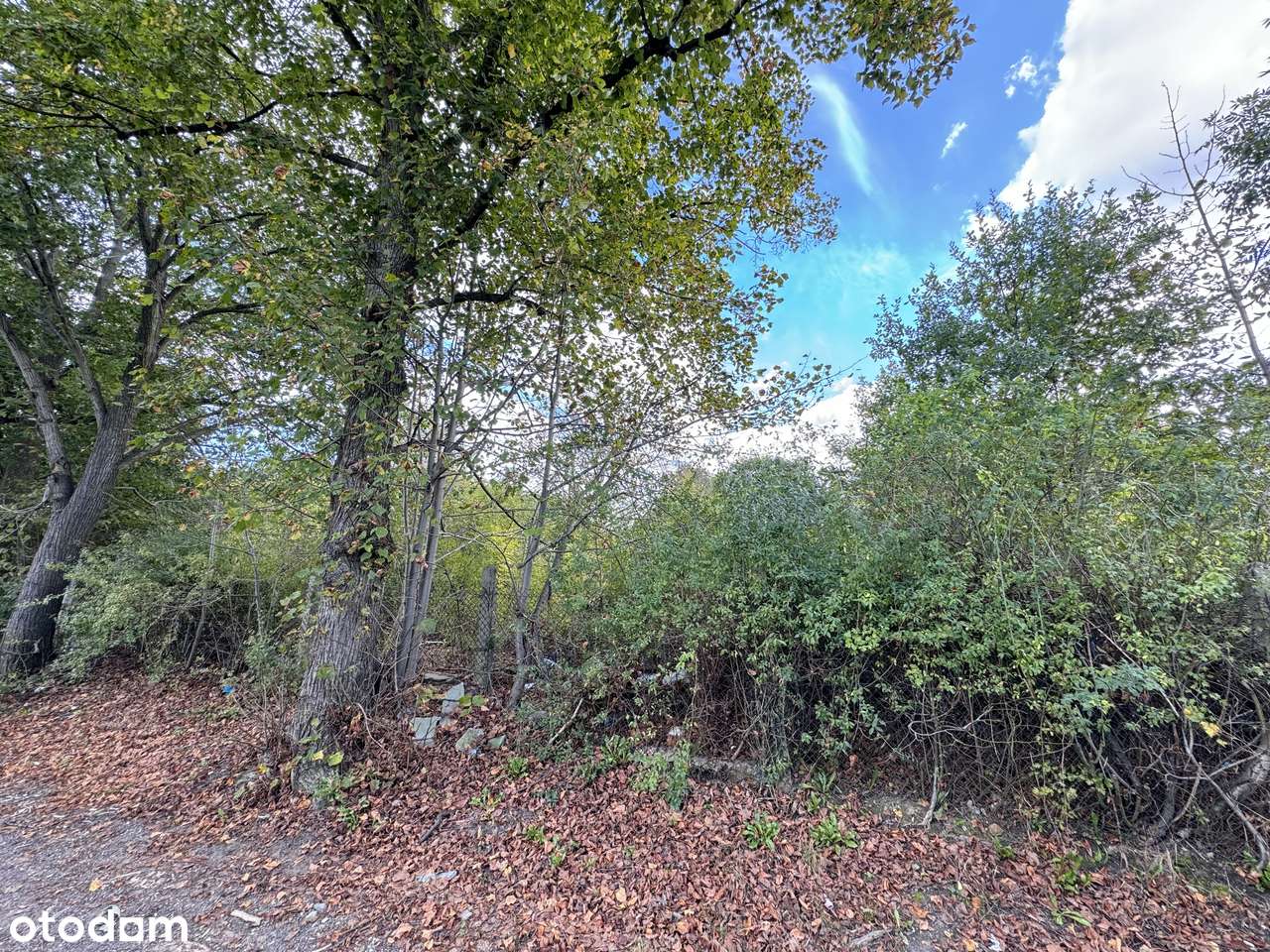 Działka w centrum miasta, Świetna lokalizacja - Mysłowice, Ćmok - Pełny obrazek: 4/11