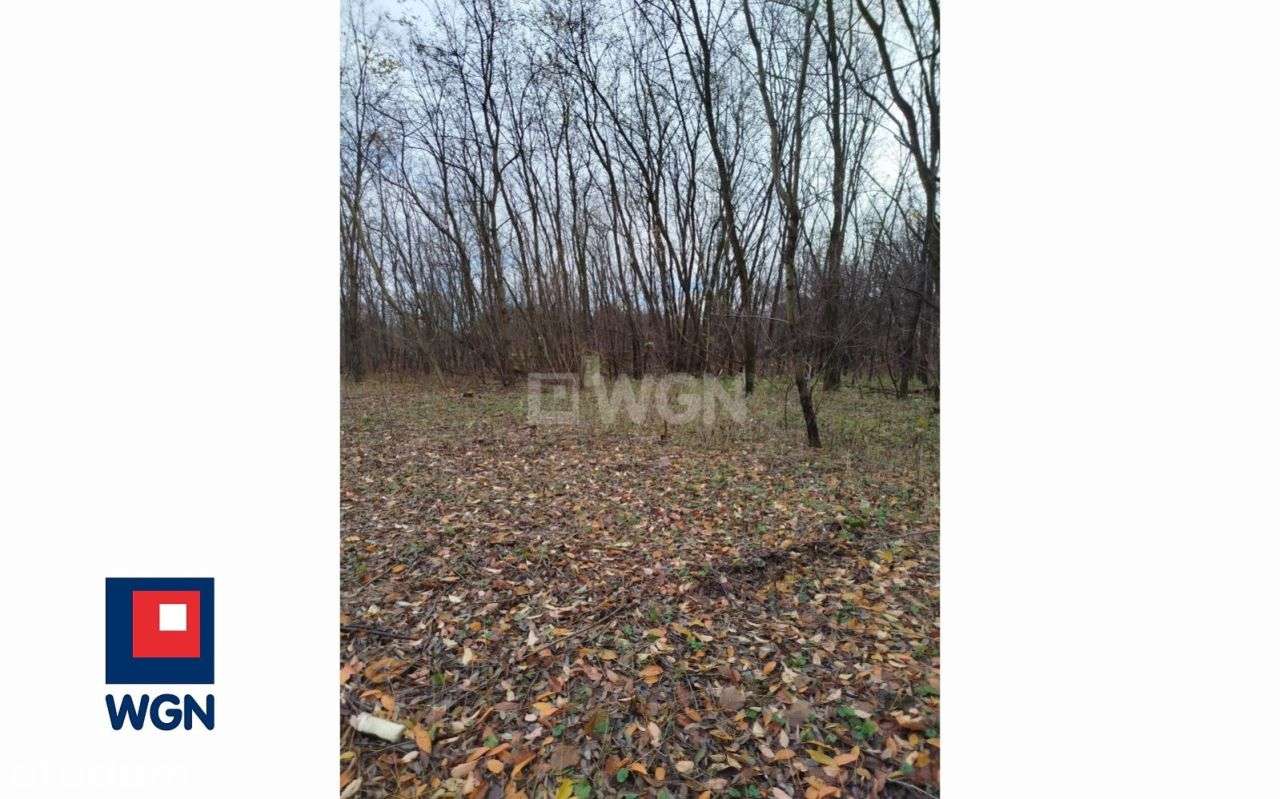 Atrakcyjne działki pod Twój dom! - Pełny obrazek: 5/10