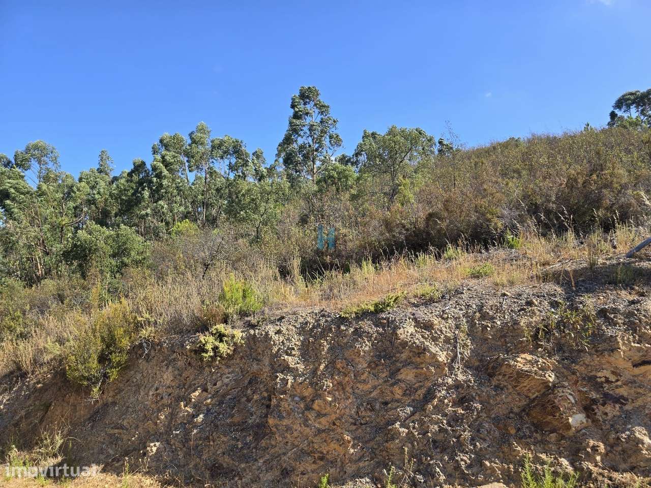 Terreno Rústico com 6320m2 - Grande imagem: 3/6