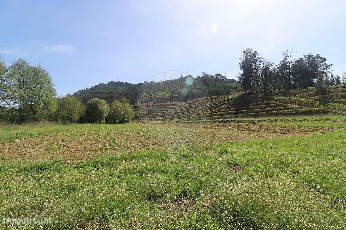 Quinta T2 para venda - Grande imagem: 4/26