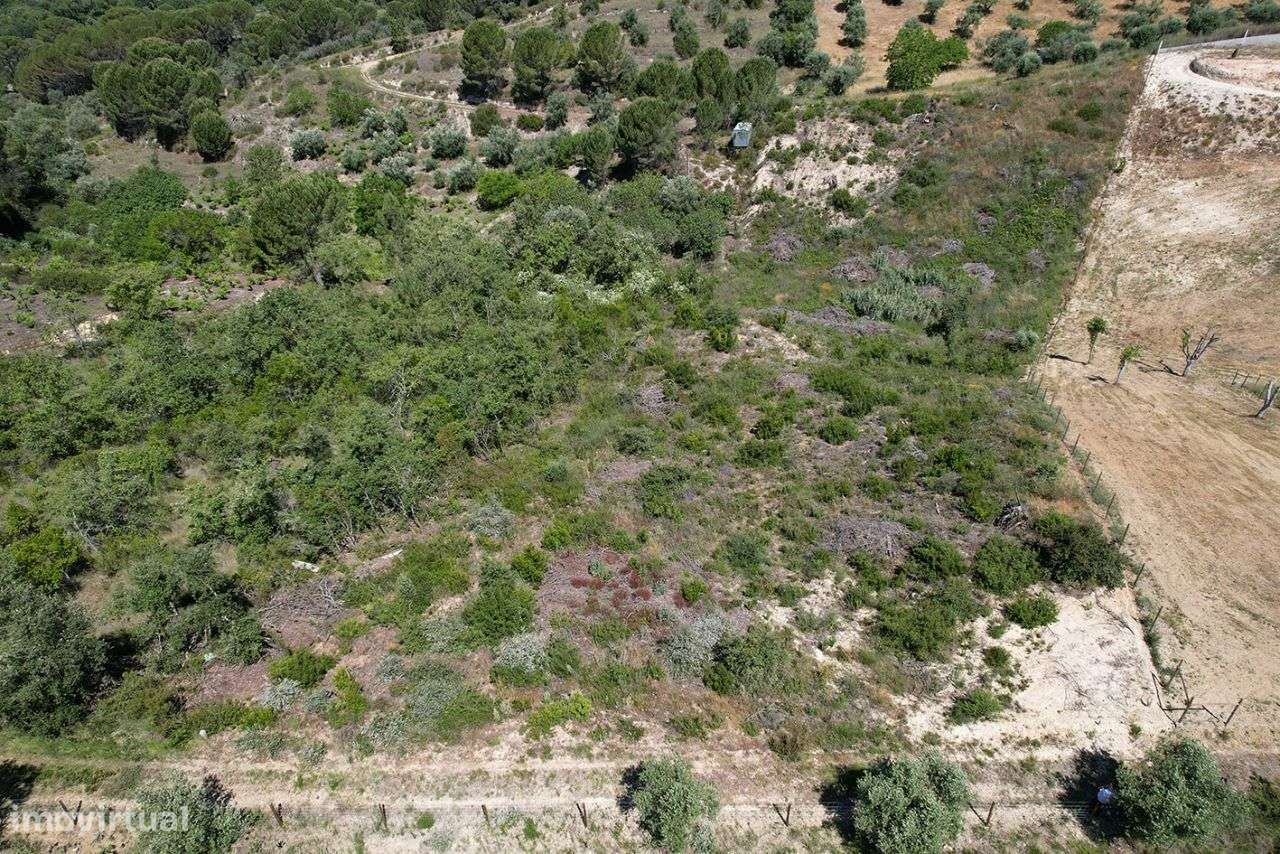 Terreno Rústico em Tomar - Grande imagem: 4/17