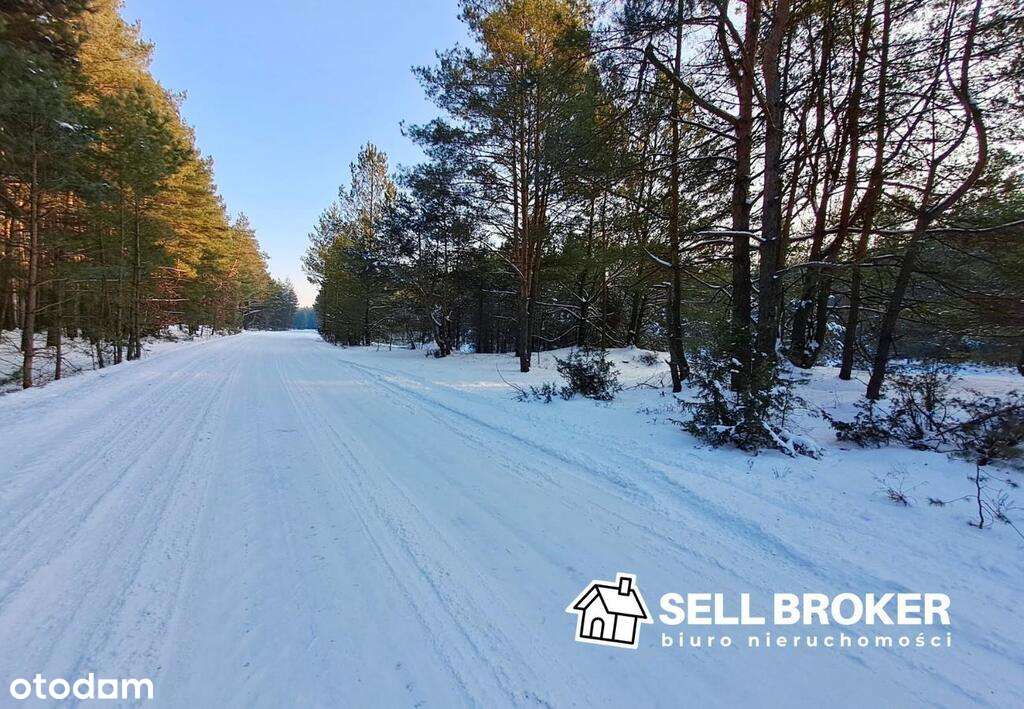 Działka rolna  m2 w otoczeniu lasu-0