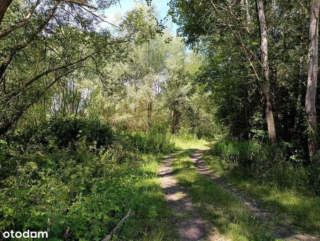 Działka w Doliwiu-3