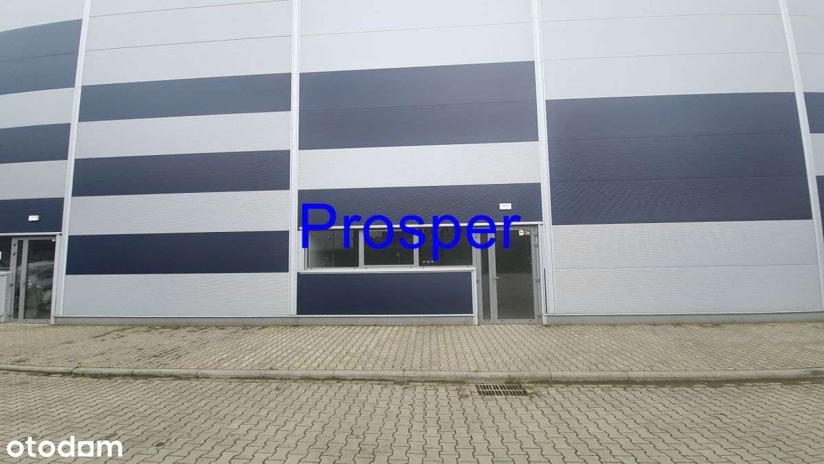 Hala mag. h=10m posadzka niepylna - Pełny obrazek: 4/4