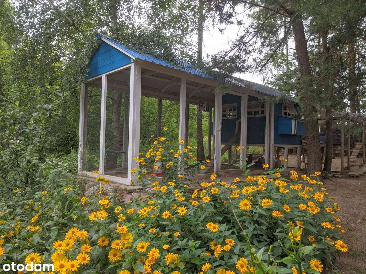 Urokliwe siedlisko zabudowane 6 letnim domem - Pełny obrazek: 5/20