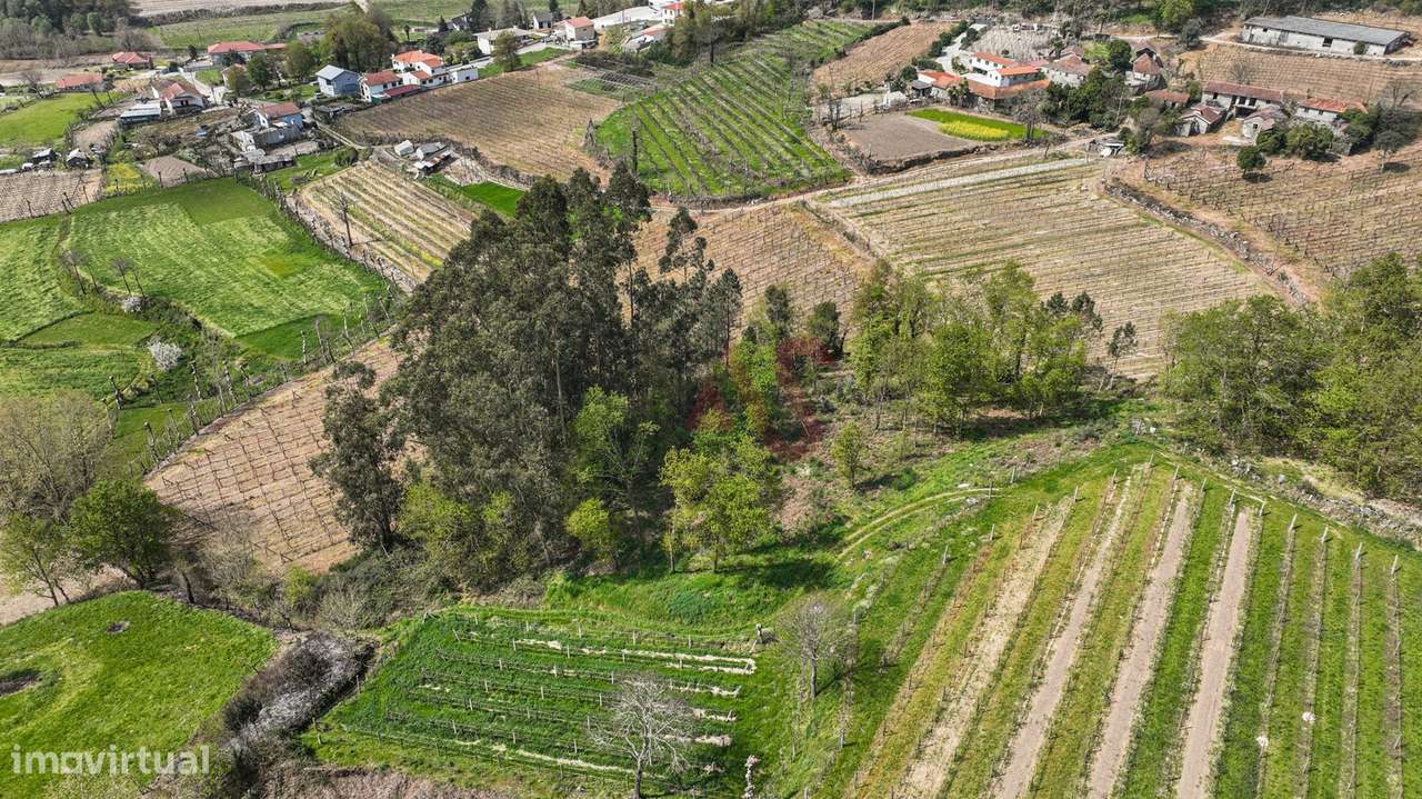 Terreno com 3.300 m² em Pedreira, Rande e Sernande, Felgueiras - Grande imagem: 5/13
